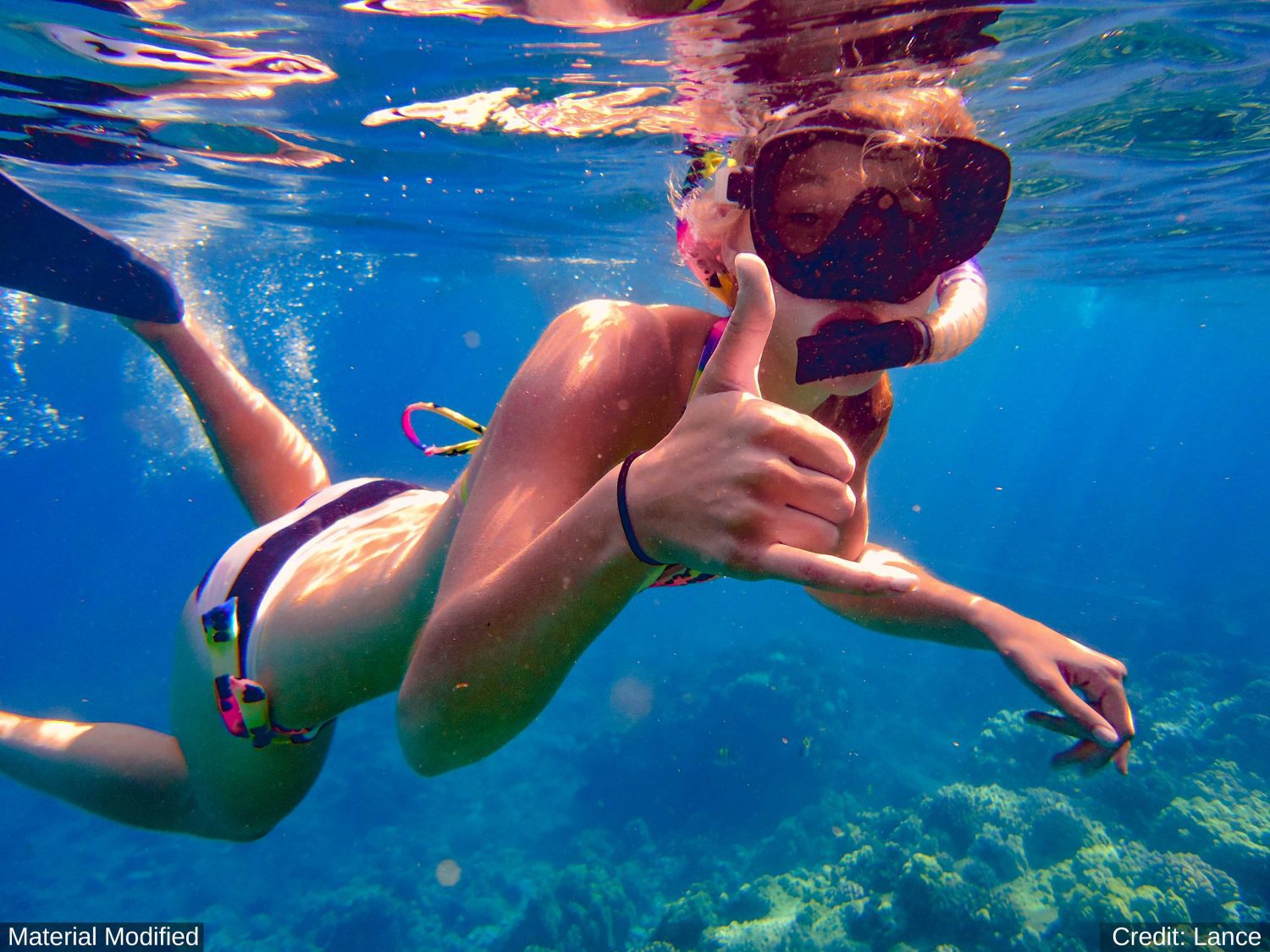 Dominican Republic: See & Experience Almost it ALL in 6 Days, 1st Class Custom Tours