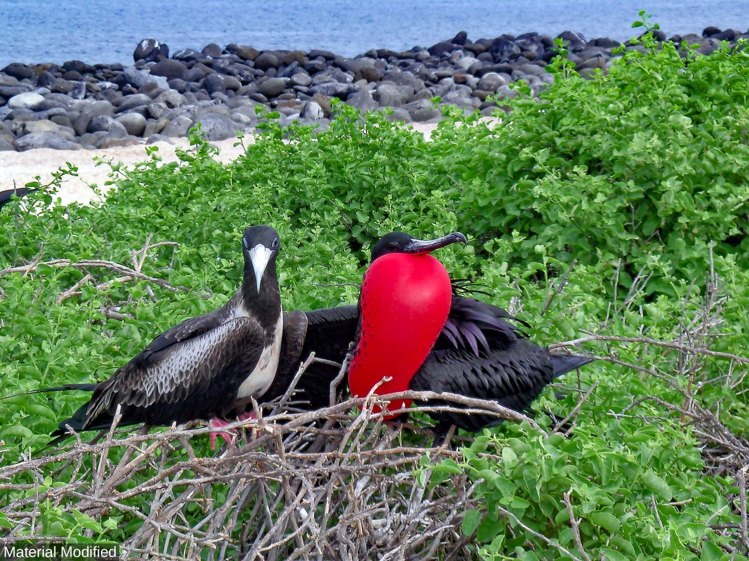Ecuador & Galapagos Islands: See & Experience Almost it ALL in 12 Days, 1st Class Custom Tours