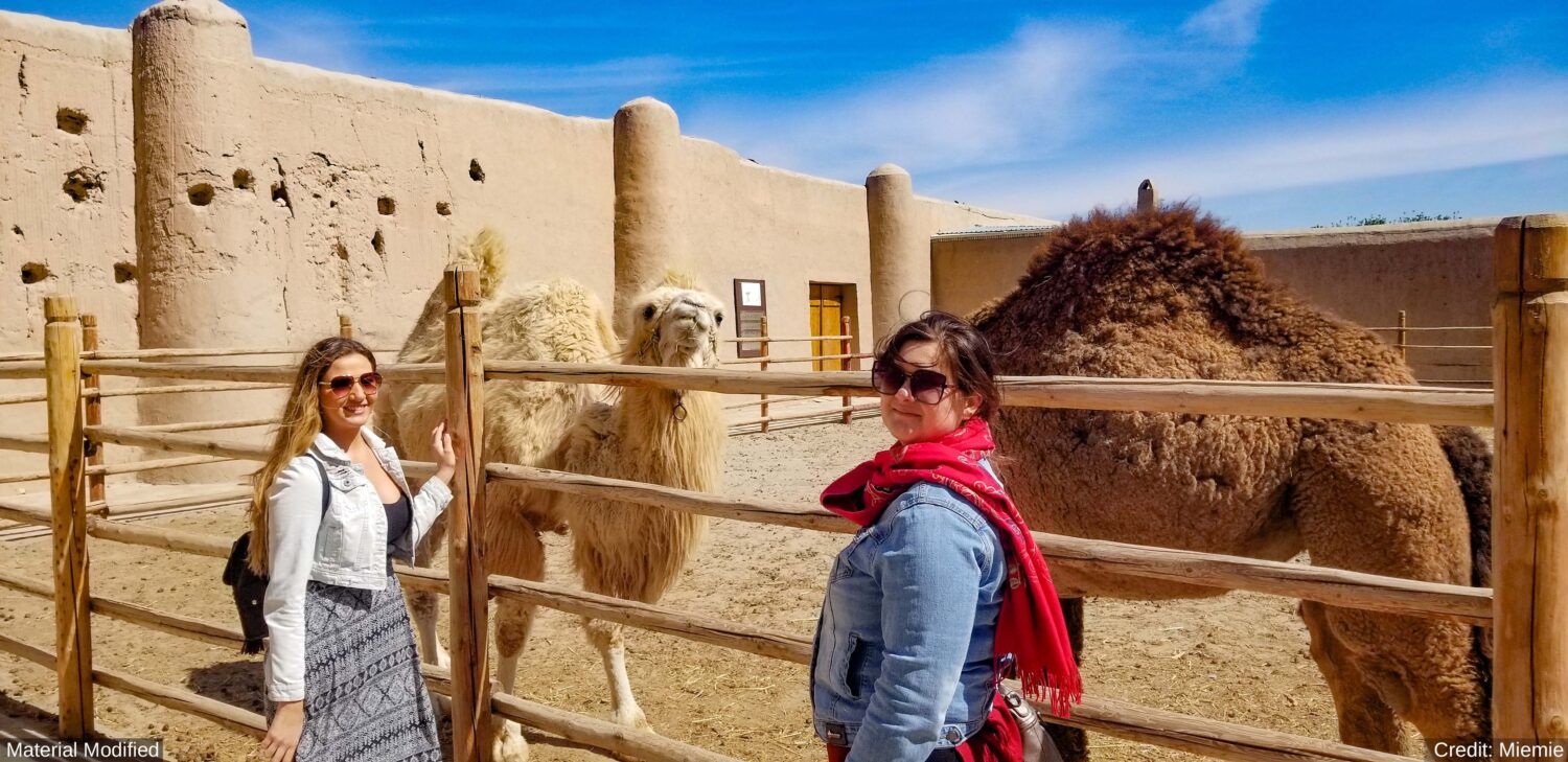 Uzbekistan: See & Experience it ALL in 8 Days, 1st Class Custom Tours