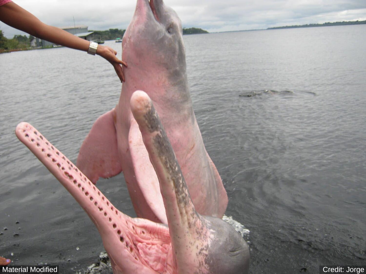 Brazil (South): See & Experience Almost it ALL in 11 Days, 1st Class Custom Tours