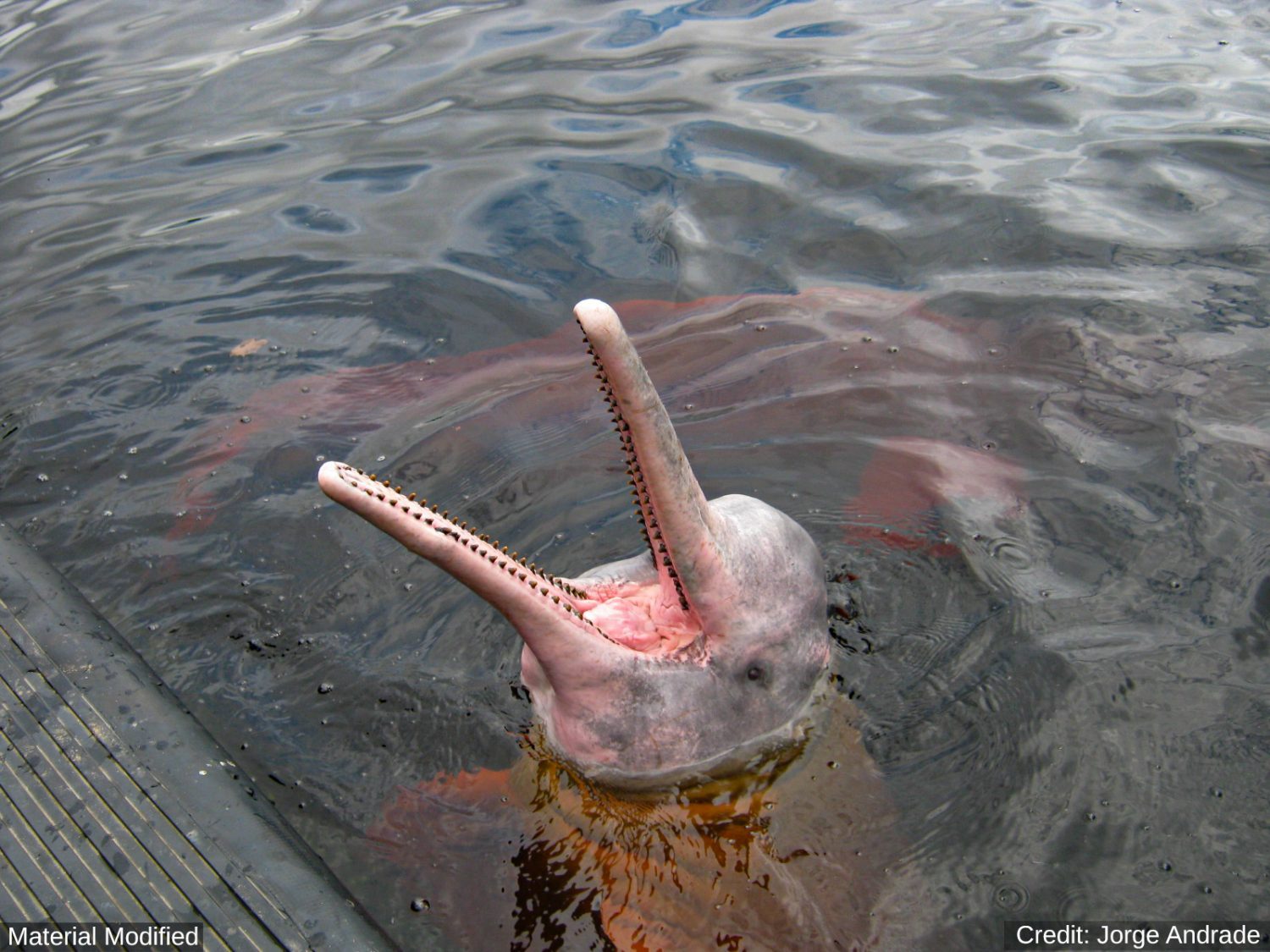 Bolivia: See & Experience Almost it ALL in 10 Days, 1st Class Custom Tours