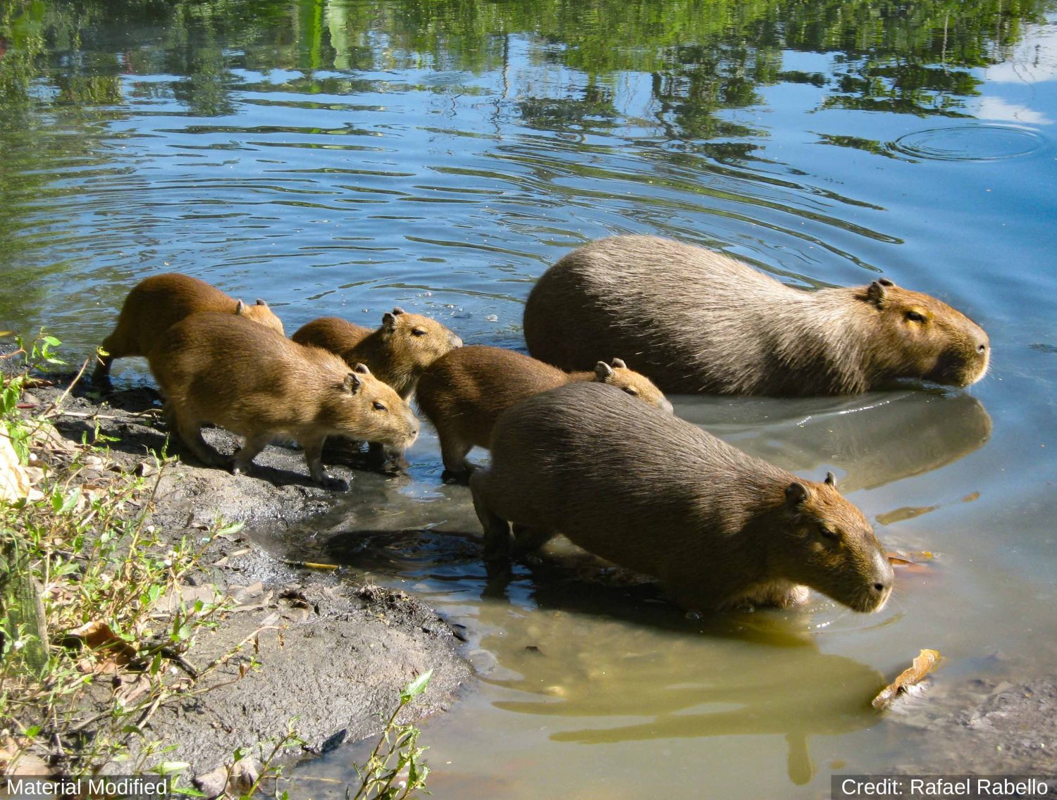 Bolivia: See & Experience Almost it ALL in 10 Days, 1st Class Custom Tours