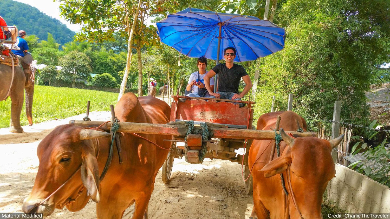 Thailand (North & Central): See & Experience it ALL in 12 Days, 1st Class Custom Tours