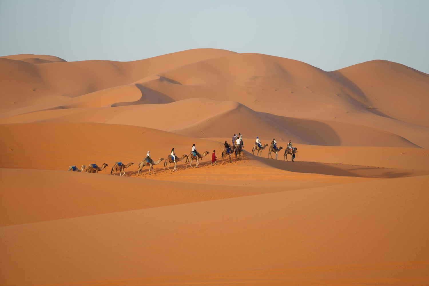 Merzouga camel trek