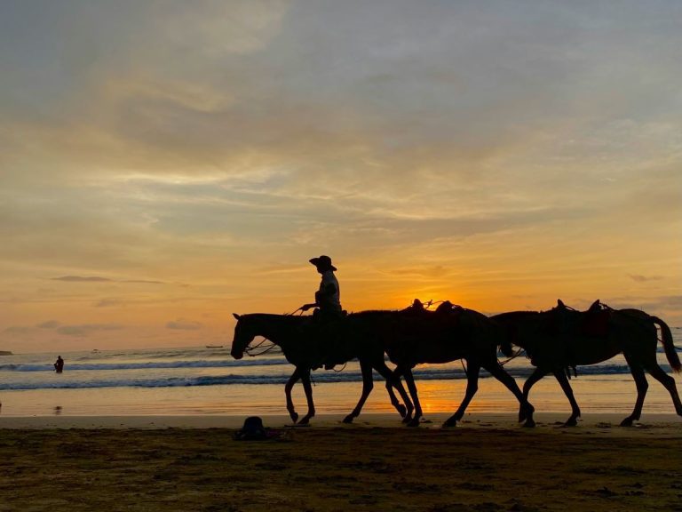 Horses at sunrise in Tamarindo