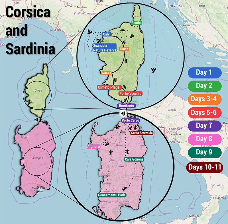 travel from corsica to sardinia