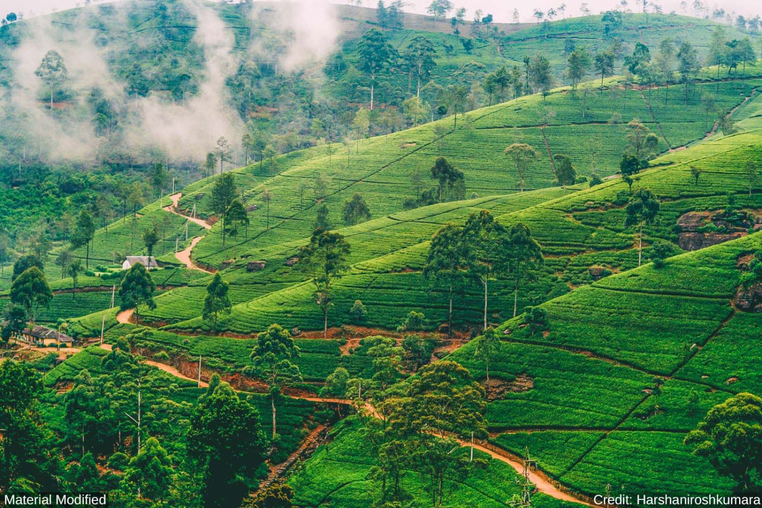 Sri Lanka: See & Experience it ALL in 10 Days, 1st Class Traveling
