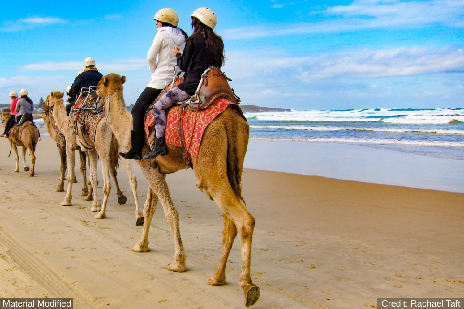 Mexico (Cabo & Baja): See & Experience it ALL in 6 Days, 1st Class Custom Tours