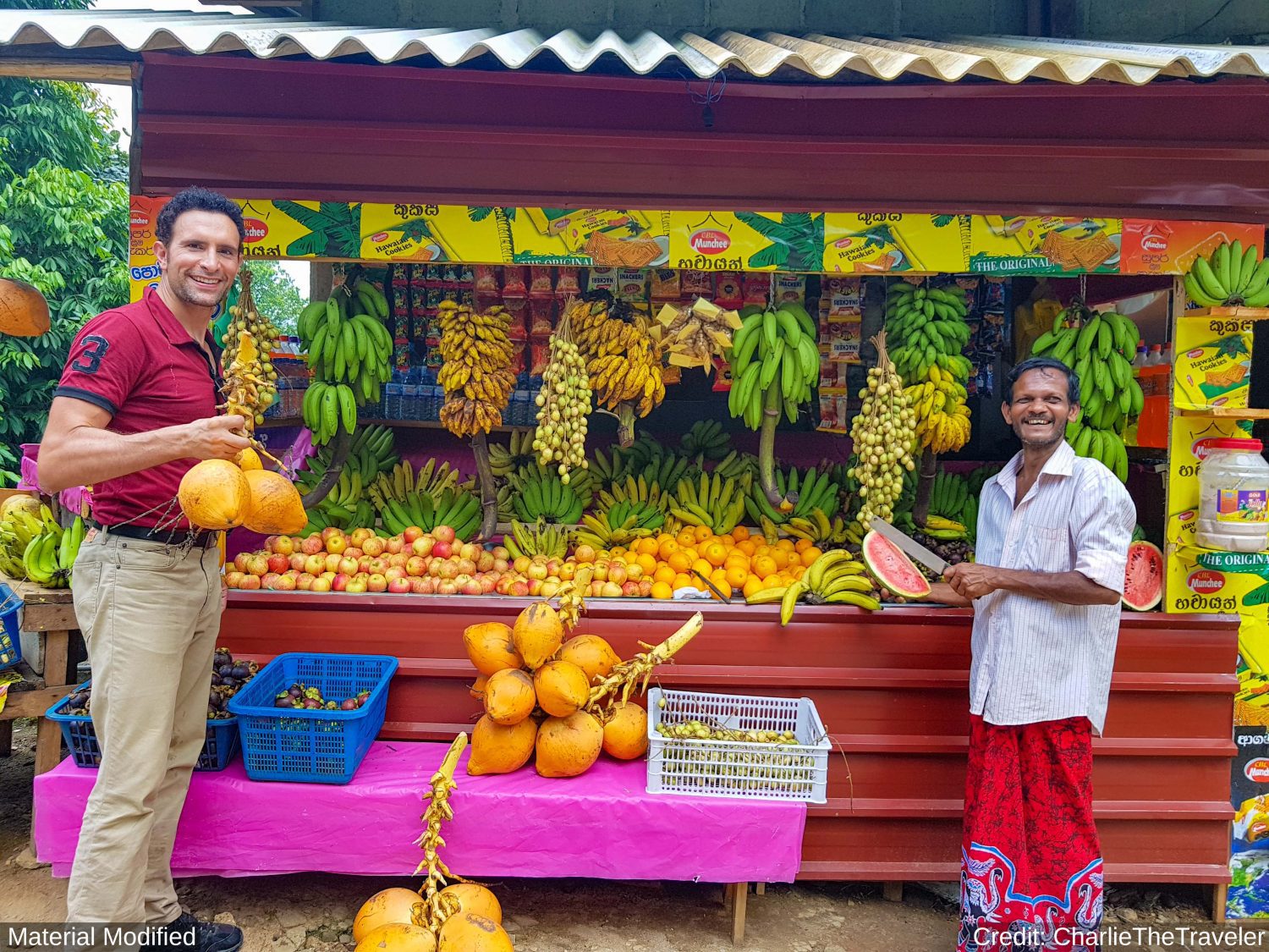 Sri Lanka: See & Experience it ALL in 10 Days, 1st Class Custom Tours