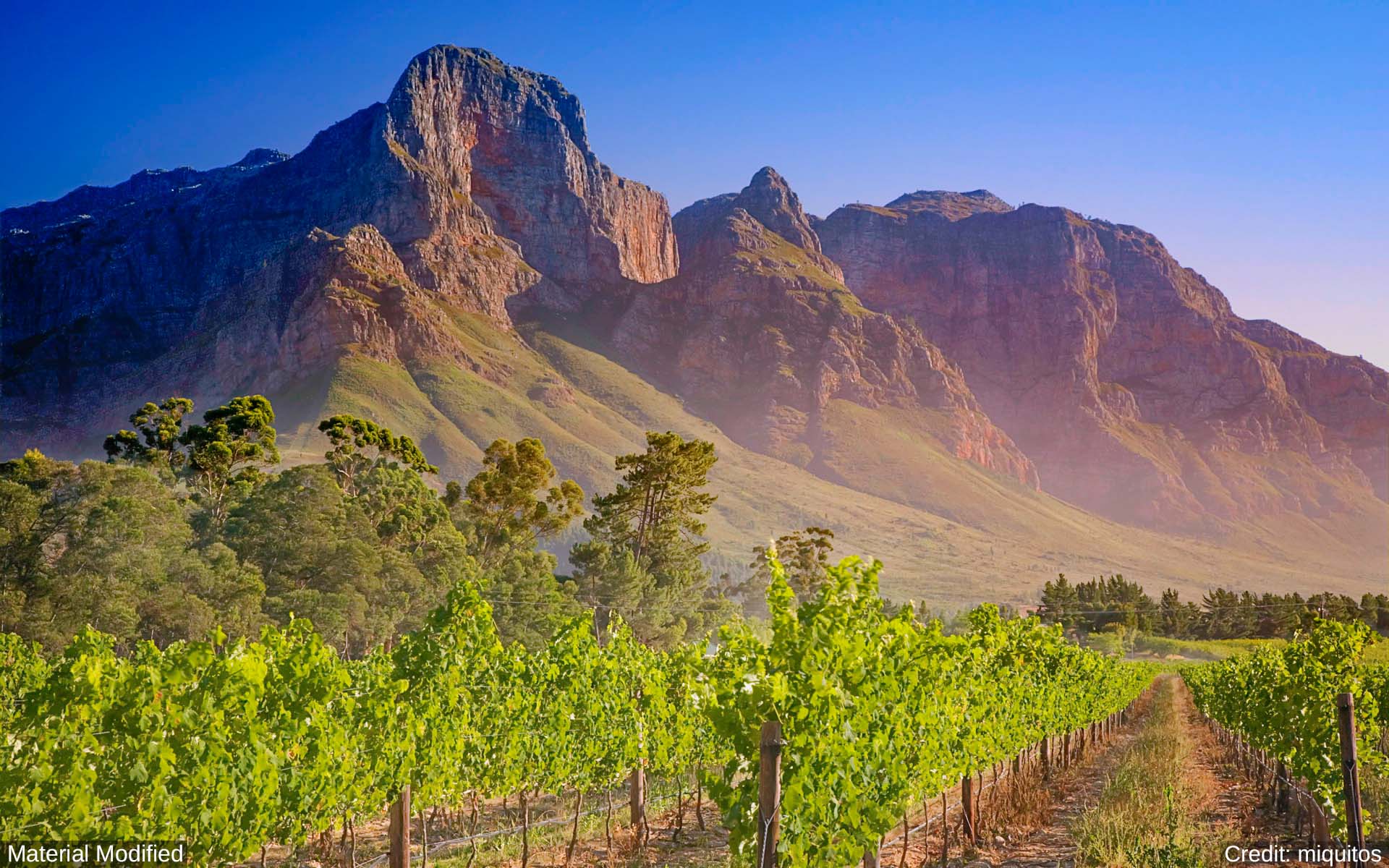 South Africa: See & Experience it ALL in 12 Days, 1st Class Traveling