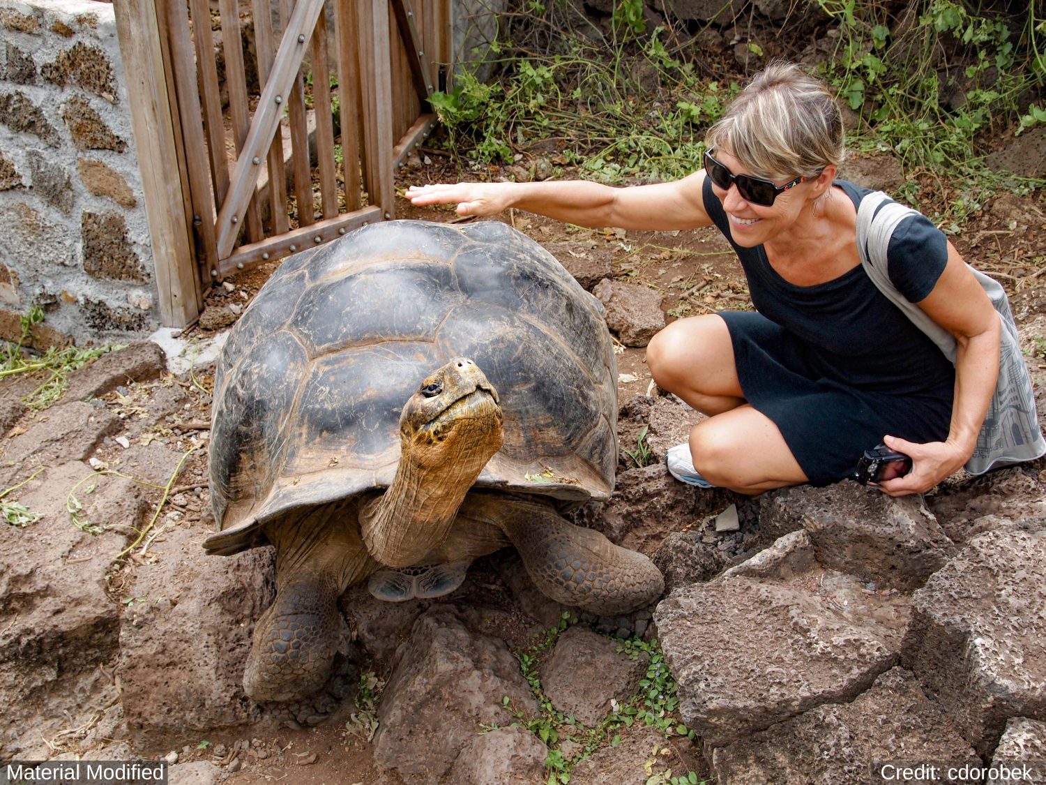 Ecuador & Galapagos Islands: See & Experience Almost it ALL in 11 Days, 1st Class Custom Tours