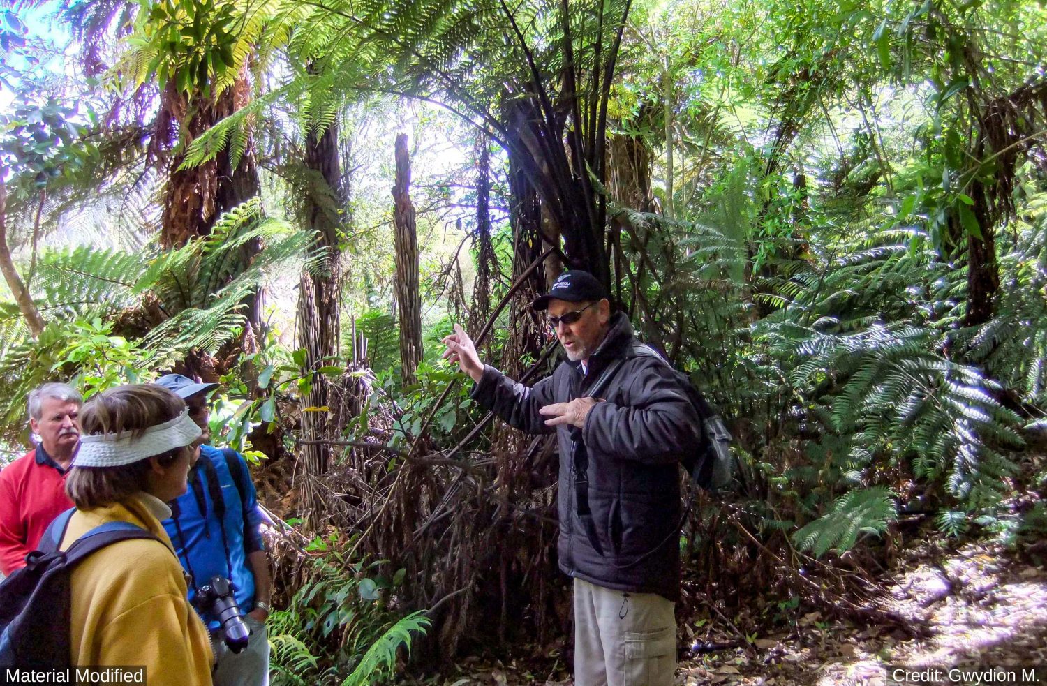 New Zealand: See & Experience it ALL in 11 Days, 1st Class Custom Tours