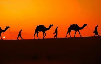 Camel trek in the Sahara Desert