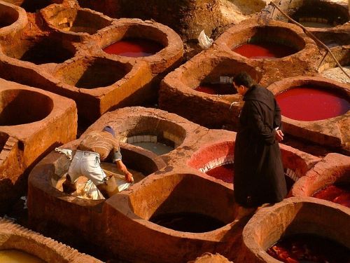 Fez tannery in Morocco