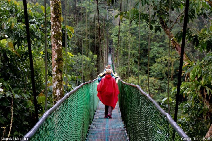 Mistico Arenal Hanging Bridges Park in Costa Rica